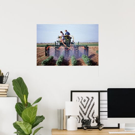 Whitefly-Kontrolle Poster (Heimbüro)