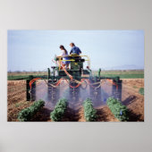 Whitefly-Kontrolle Poster (Vorne)