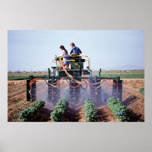 Whitefly-Kontrolle Poster (Vorne)