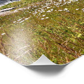 Whitehead Island Lighthouse, Maine Foto (Ecke)