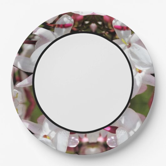 Whitepaper Pappteller (Vorderseite)