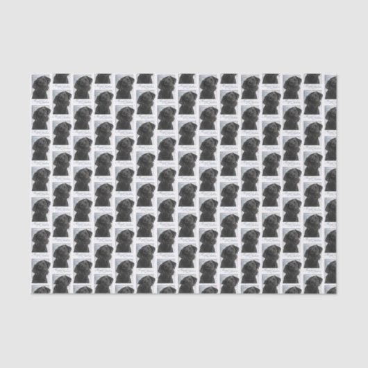 Whitepaper zu Weihnachtsthemen im Black Lab Seidenpapier (Vorderseite)