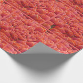 Whitepaper zum Muster von roten Tulips Geschenkpapier (Ecke)