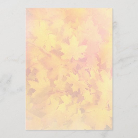 Whitepaper zum Thema Natur-Lüfterprogramm für Tiny Programm (Rückseite)