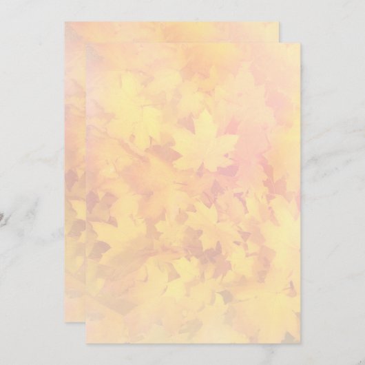 Whitepaper zum Thema Natur-Lüfterprogramm für Tiny Programm (Vorne/Hinten)