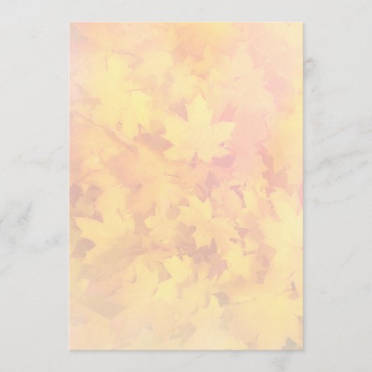 Whitepaper zum Thema Natur-Lüfterprogramm für Tiny Programm (Vorderseite)