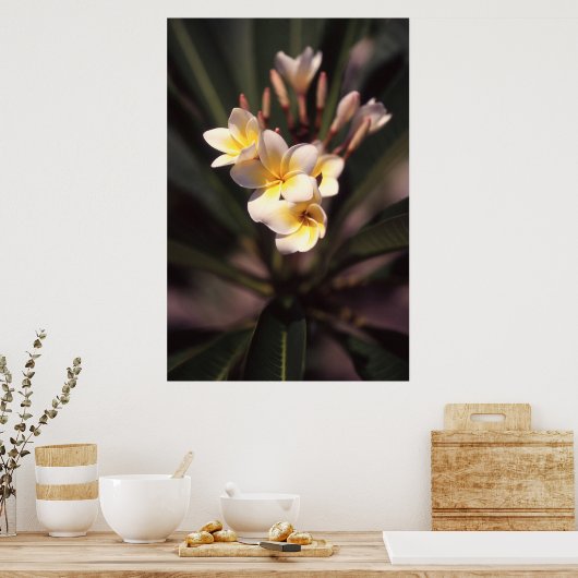 Whitepaper zur Blume (Matte) Poster (Küche)