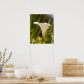 Whitepaper zur Blume (Matte) Poster (Küche)