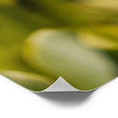 Whitepaper zur Blume (Matte) Poster (Ecke)