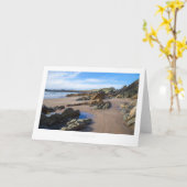 Whitesands Bay, Pembrokeshire Karte (Gelbe Blume)