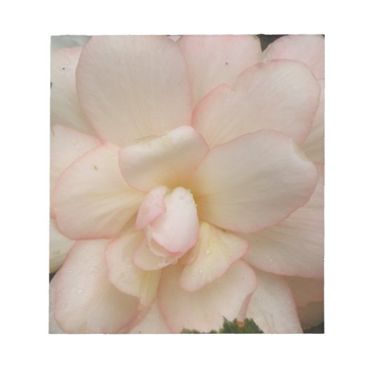 Whitestonia Blumen Notepad Notizblock (Vorderseite)