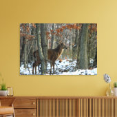 Whitetail Buck Abend Woods Canvas Print Leinwanddruck (Insitu (Wohnzimmer))