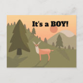 Whitetail Buck Baby Ankündigungspostkarte (Vorderseite)