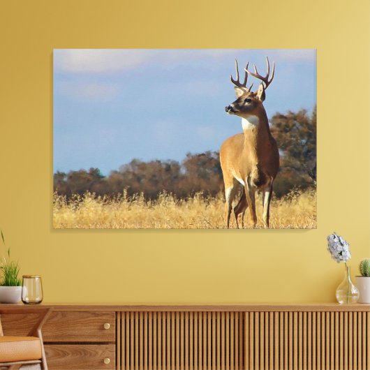Whitetail Buck Canvas Print Leinwanddruck (Insitu (Wohnzimmer))