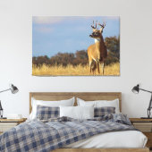 Whitetail Buck Canvas Print Leinwanddruck (Insitu (Schlafzimmer))