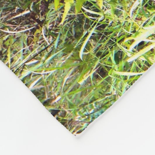 Whitetail Buck Fotografie Fleecedecke (Ecke)