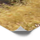 Whitetail Buck Gerahmt Print Poster (Ecke)