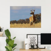Whitetail Buck Gerahmt Print Poster (Heimbüro)
