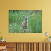 Whitetail Buck im Sommerfeld Leinwanddruck (Insitu (Wohnzimmer))