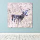 Whitetail Buck in Meadow Leinwanddruck (Insitu (Holzboden))