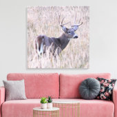 Whitetail Buck in Meadow Leinwanddruck (Insitu (Wohnzimmer))