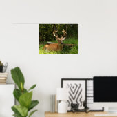 Whitetail Buck in Velvet 10 Punkt Poster (Heimbüro)