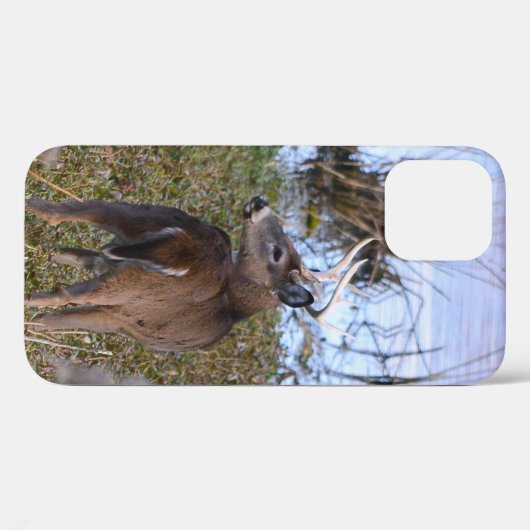Whitetail Buck iPhone/iPad-Gehäuse Case-Mate iPhone Hülle (Rückseite (Horizontal))