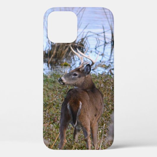 Whitetail Buck iPhone/iPad-Gehäuse Case-Mate iPhone Hülle (Rückseite)