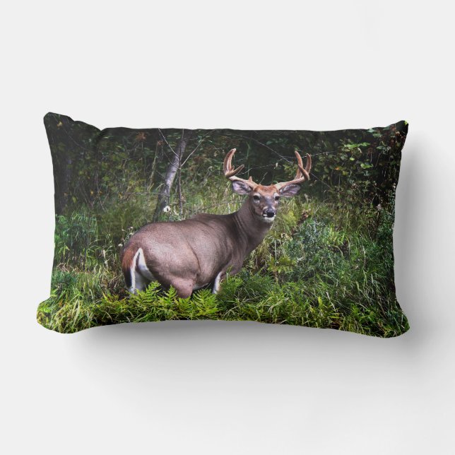 Whitetail Buck Lumbar Pillow Lendenkissen (Vorderseite)