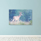 Whitetail Buck Nature Portrait Leinwanddruck (Insitu (Holzboden))