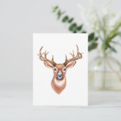 Whitetail Buck Postcard Postkarte (Stehend Vorderseite)