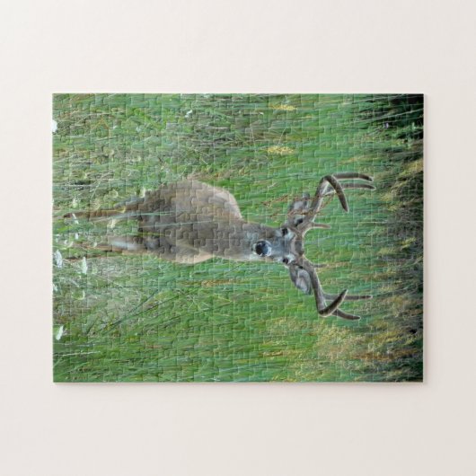 Whitetail Buck Puzzle (Horizontal)