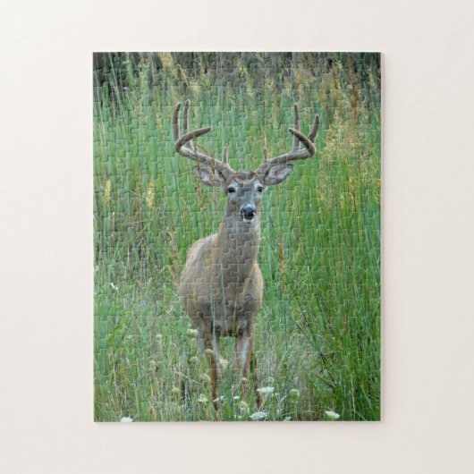 Whitetail Buck Puzzle (Vertikal)