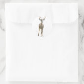Whitetail Buck Sticker (Tasche)