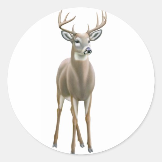 Whitetail Buck Sticker (Vorderseite)