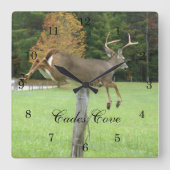 Whitetail Buck Wall Quadratische Wanduhr (Vorderseite)