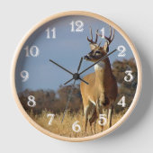 Whitetail Buck Wall Uhr (Vorderseite)