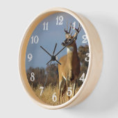 Whitetail Buck Wall Uhr (Winkel)