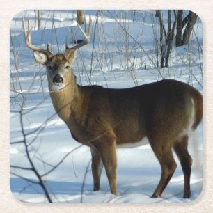 Whitetail Buck Winter Rechteckiger Pappuntersetzer