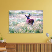 Whitetail Buck (Zurück) im Summer Field Leinwanddruck (Insitu (Wohnzimmer))