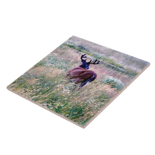 Whitetail Bug im Sommer Field Keramik Tile Fliese (Seite)