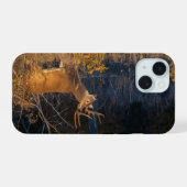 Whitetail Deer, Big Buck am Rande. iPhone 15 Hülle (Rückseite (Horizontal))