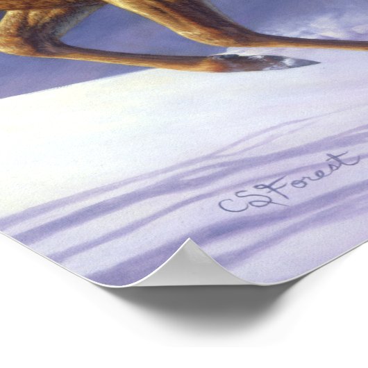 Whitetail Deer Buck & Dock im Winterschnee Poster (Ecke)