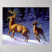 Whitetail Deer Buck & Dock im Winterschnee Poster (Vorne)