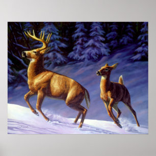 Whitetail Deer Buck & Dock im Winterschnee Poster