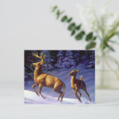 Whitetail Deer Buck & Dock im Winterschnee Postkarte (Stehend Vorderseite)