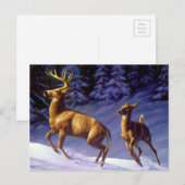 Whitetail Deer Buck & Dock im Winterschnee Postkarte (Vorne/Hinten)