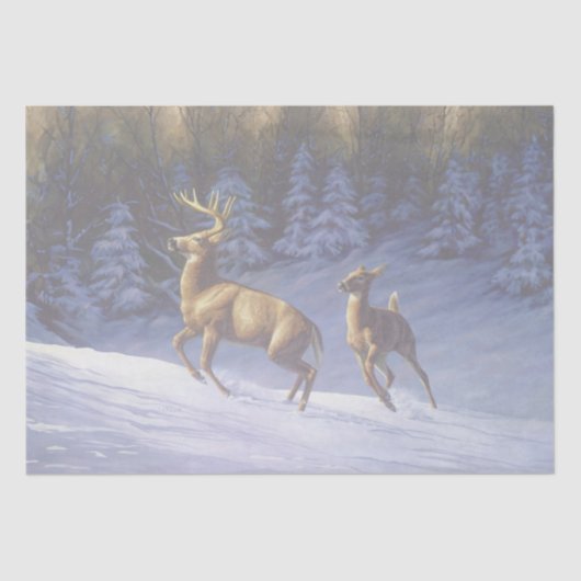 Whitetail Deer Buck & Dock im Winterschnee Seidenpapier (Vorderseite)