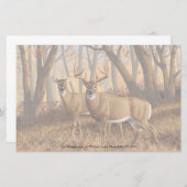 Whitetail Deer Buck & Dos Herbstmapelwald Briefpapier (Vorne/Hinten)