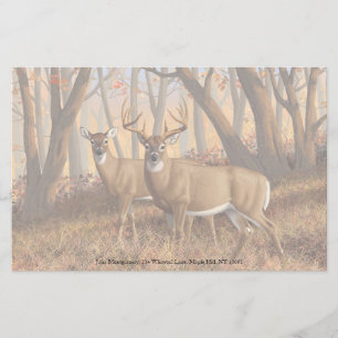 Whitetail Deer Buck & Dos Herbstmapelwald Briefpapier